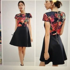 Ted Baker Xylee Juxtapose Rose Short Sleeve Skated Mini Dress